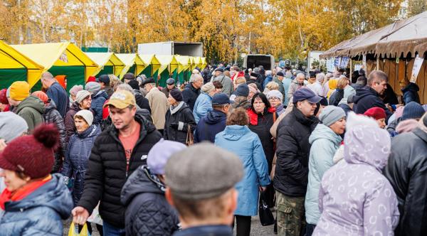 Ярмарка 